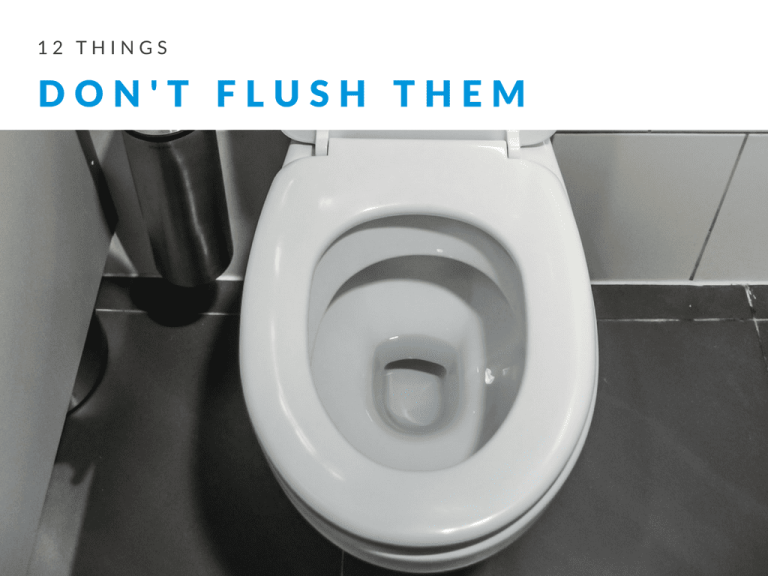 12 Things That Should Never Be Flushed Down Your Toilet Kwik Plumbers