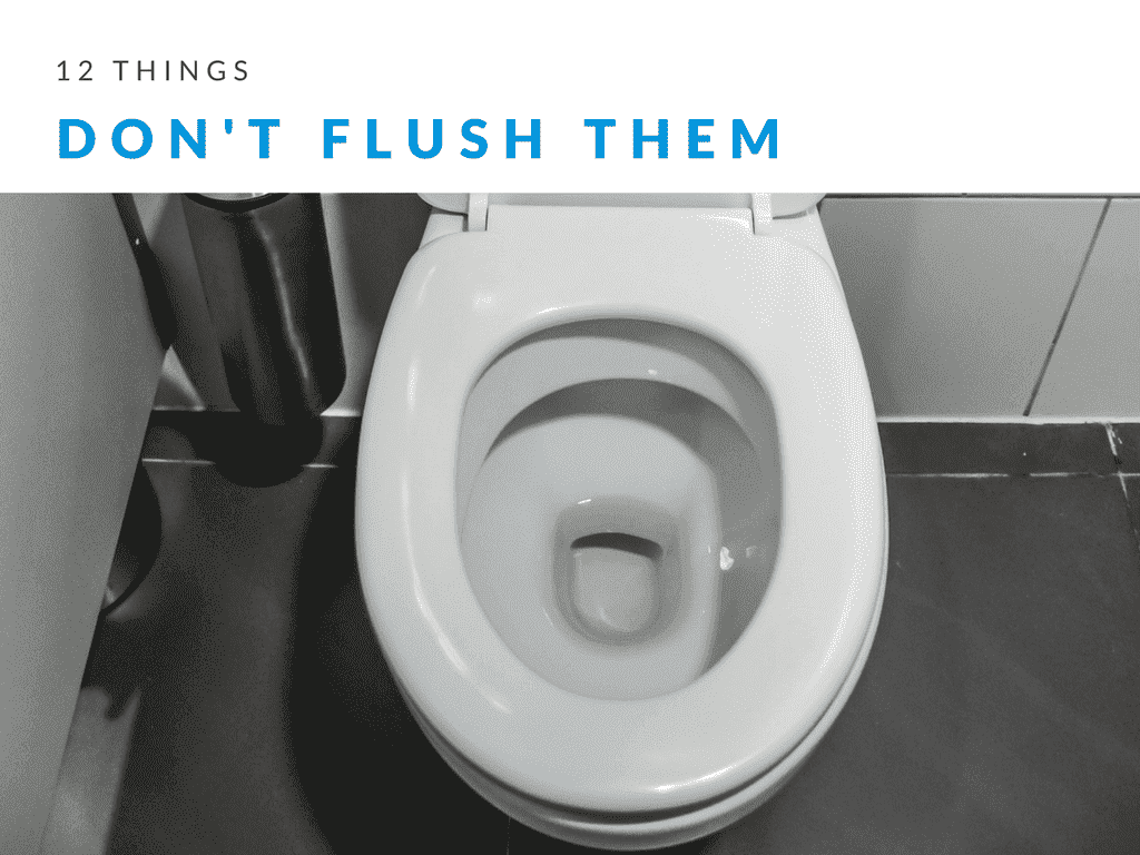 12-Things-That-Should-Never-Be-Flushed-Down-Your-Toilet