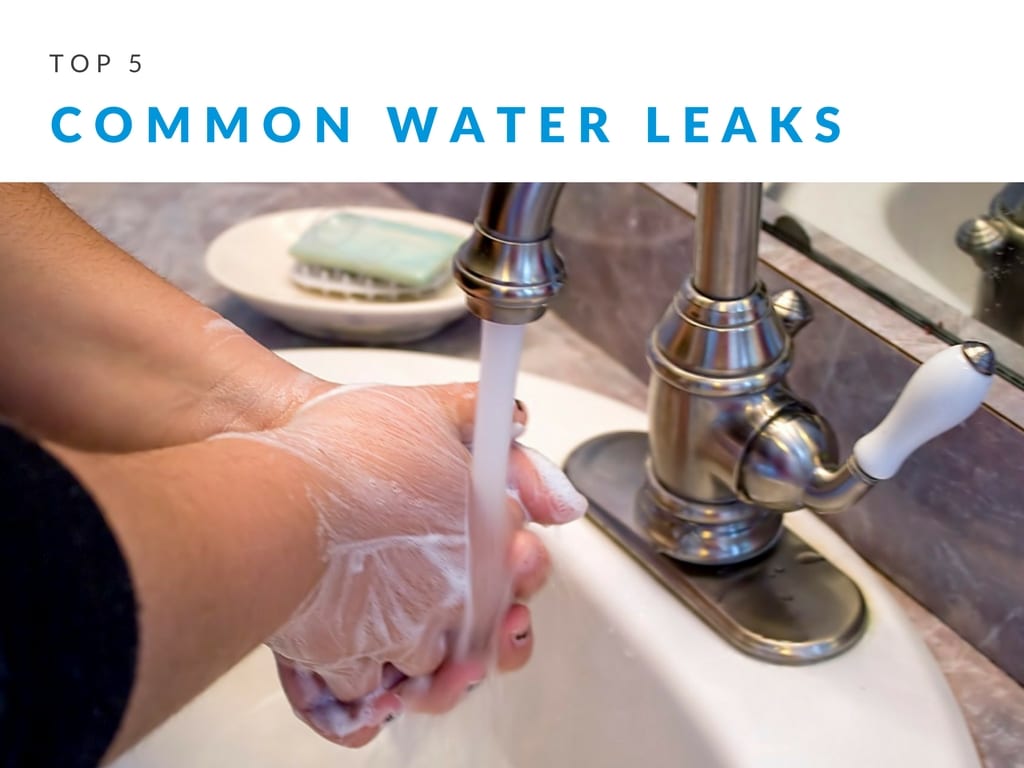 Common-Water-Leaks