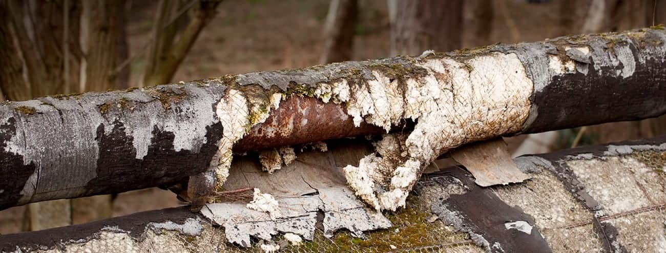 Rusted-Pipe Rusted-Pipe