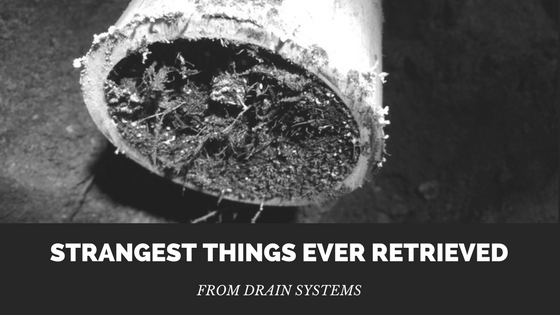 Strangest-Things-Ever-Retrieved-From-Drain-Systems