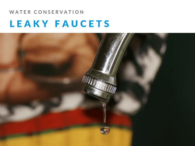 Water-Conservation-Fixing-Leaky-Faucets